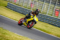 Middle 2 Group Yellow Bikes